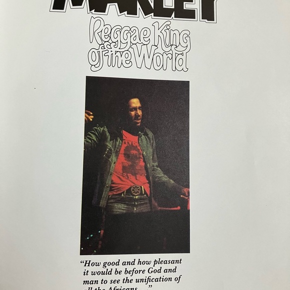 Book: Bob Marley Reggae King of the World by Malika Lee Whitney & Dermott Hussey - Picture 3 of 11